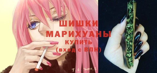 apvp Михайлов