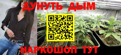 мдпв Лесосибирск