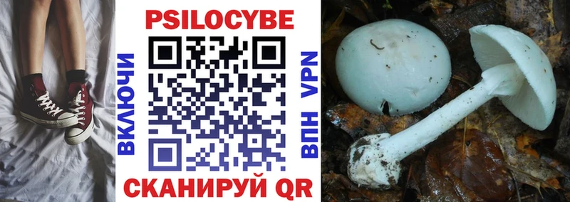 Псилоцибиновые грибы Psilocybine cubensis  Новый Уренгой 